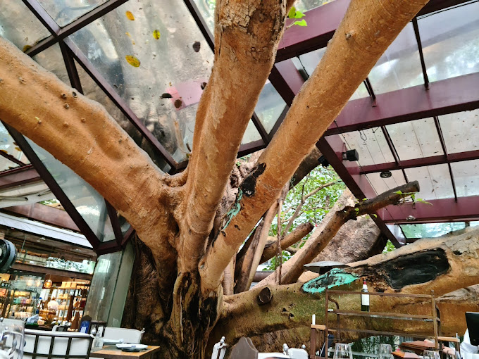 Ambiente interno/externo do espaço A Figueira Rubaiyat - Sala Madrid - Foto 2